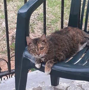 Meet your Posher, Selina